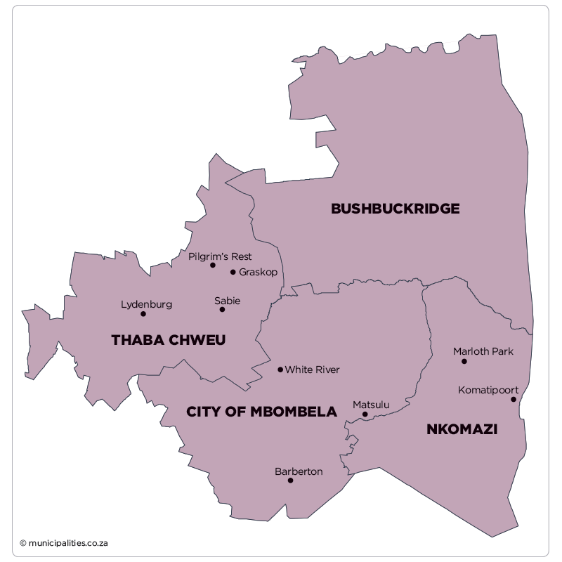 Bushbuckridge Local Municipality (MP325)